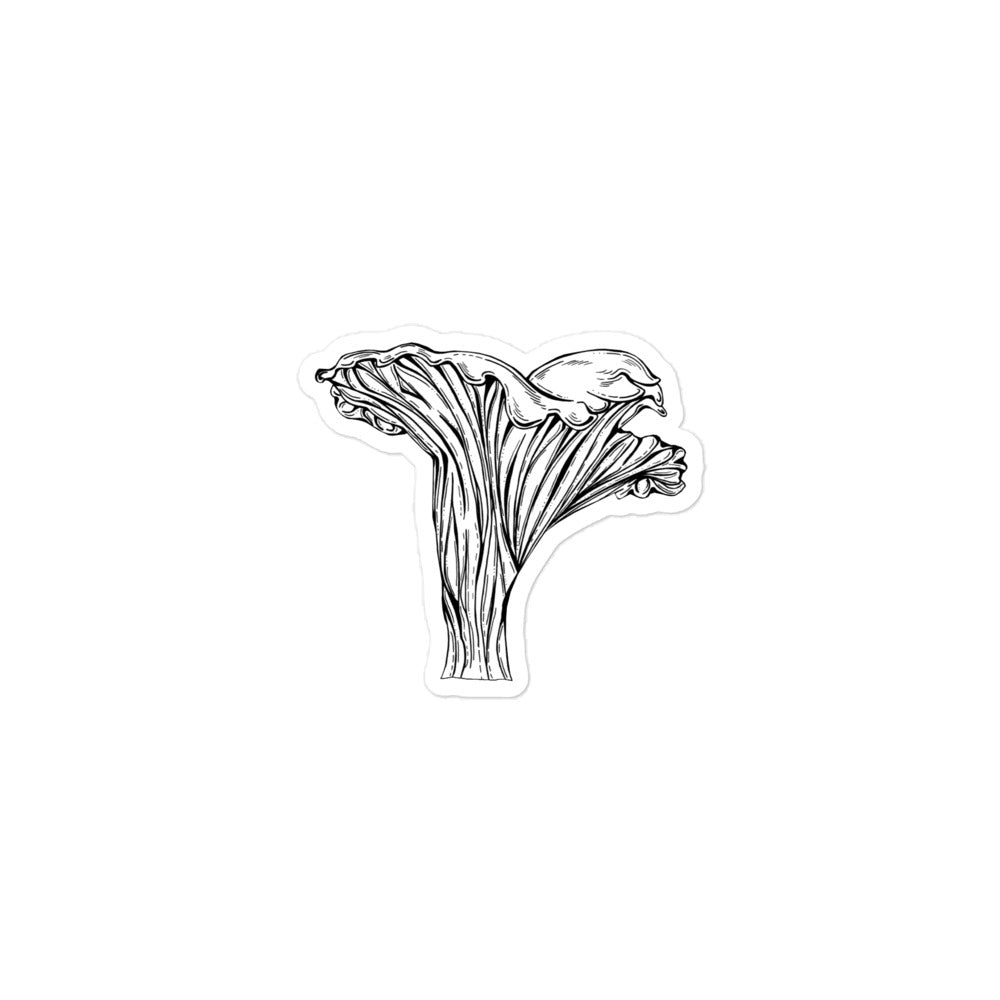 3x3 inch black and white chanterelle mushroomsticker. Design is in a pen and ink illustration style.