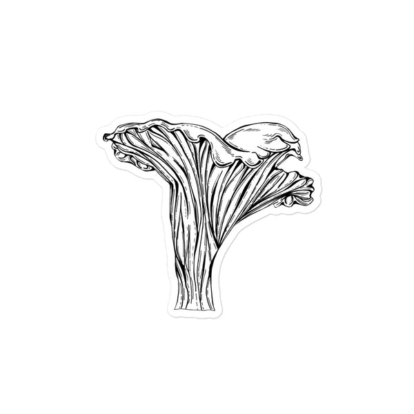 4X4 inch black and white chanterelle mushroomsticker. Design is in a pen and ink illustration style.